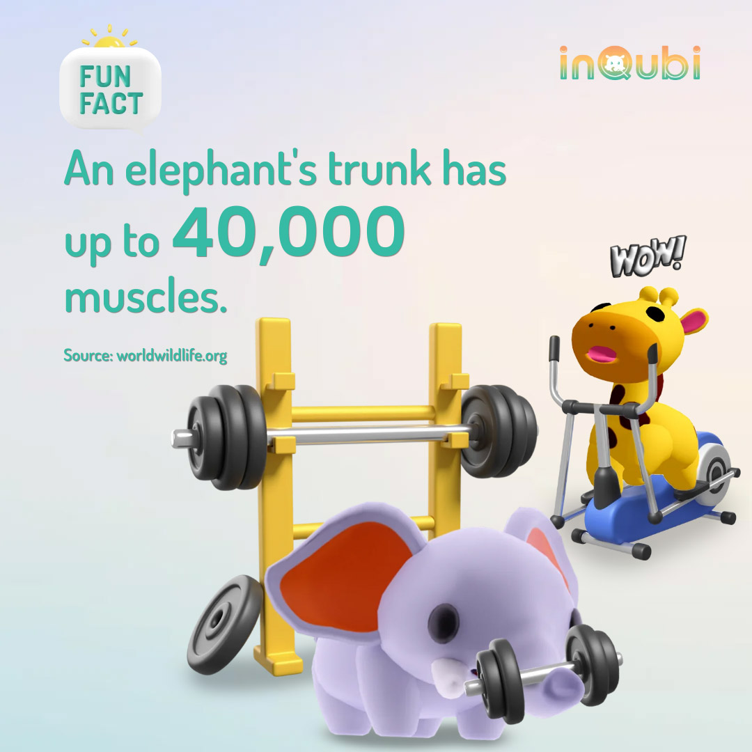 Elephant Fun Fact