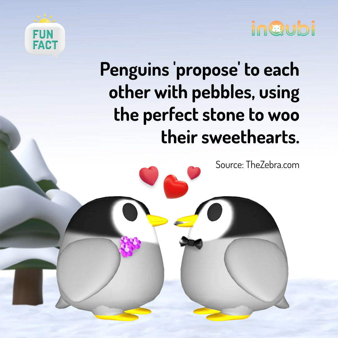 Penguin Fun Fact
